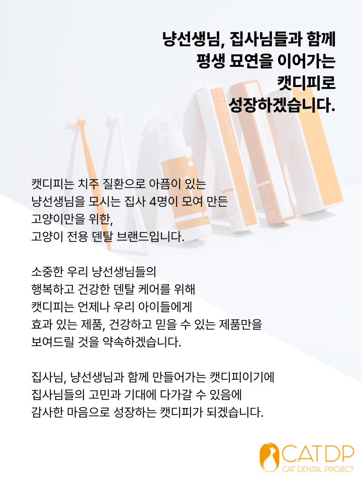 [NEW신상][무료배송] 캣디피 초극세사모 덴탈 칫솔ver2 61번째