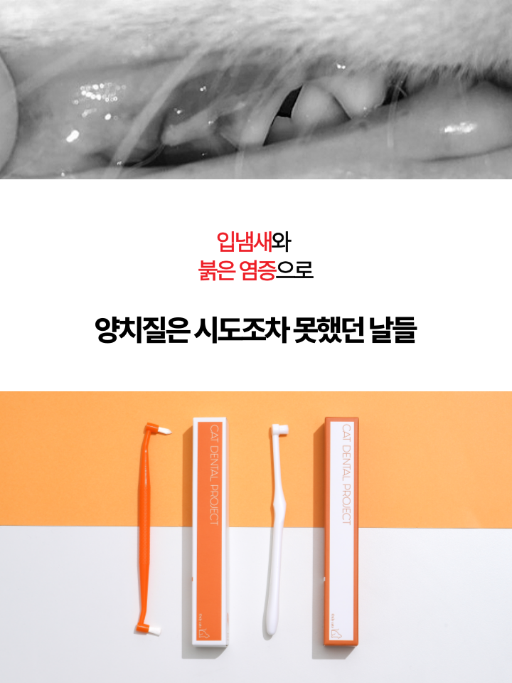 [NEW신상][무료배송] 캣디피 초극세사모 덴탈 칫솔ver2 14번째