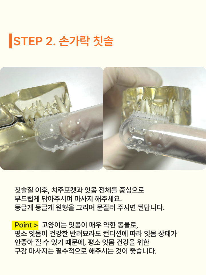 [NEW신상][무료배송] 캣디피 초극세사모 덴탈 칫솔ver2 43번째