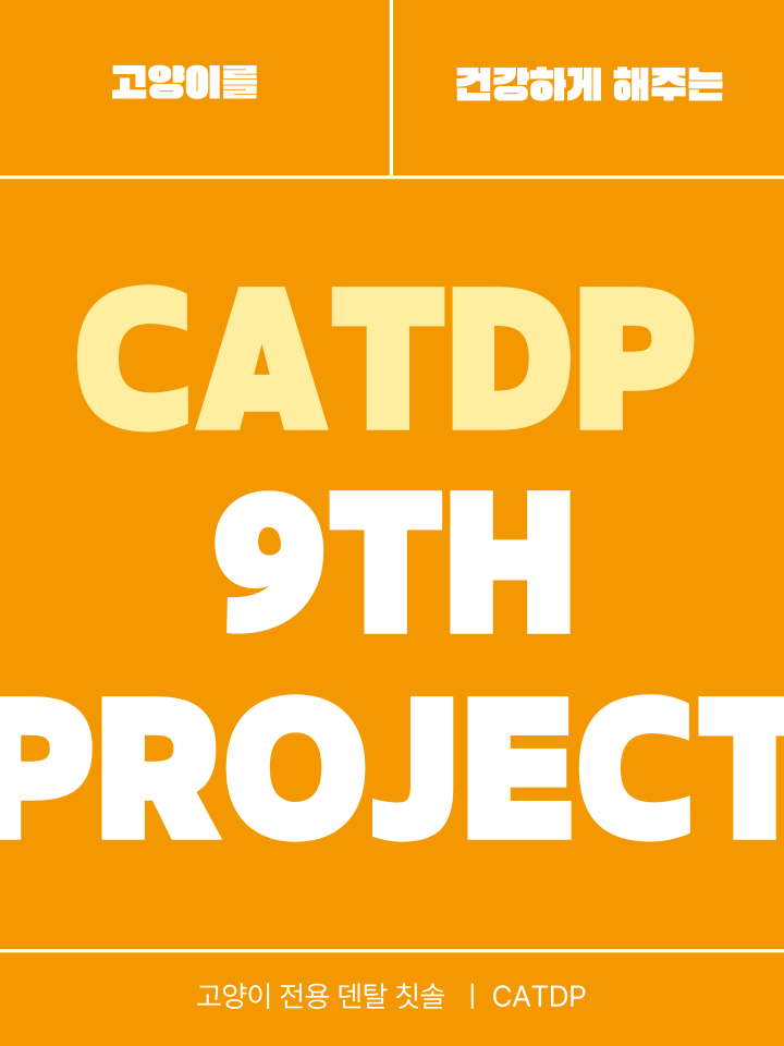 [NEW신상][무료배송] 캣디피 초극세사모 덴탈 칫솔ver2 7번째