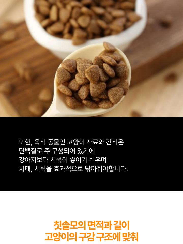 [NEW신상][무료배송] 캣디피 초극세사모 덴탈 칫솔ver2 32번째