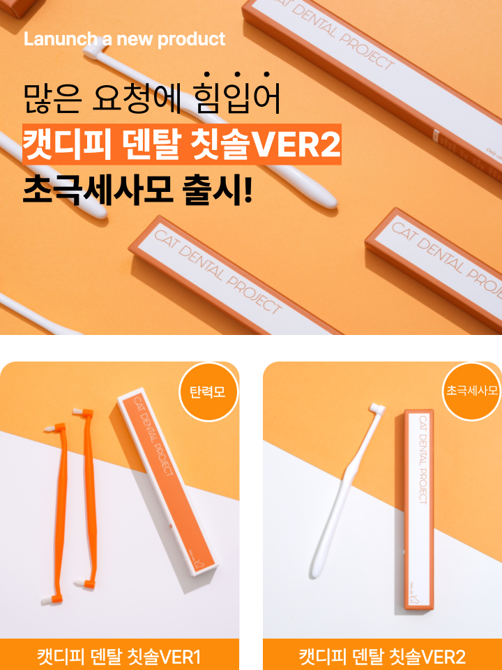 [NEW신상][무료배송] 캣디피 초극세사모 덴탈 칫솔ver2 1번째