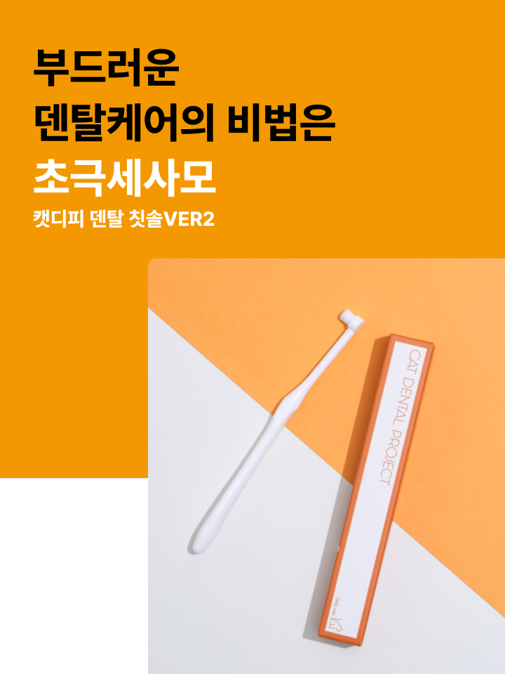 [NEW신상][무료배송] 캣디피 초극세사모 덴탈 칫솔ver2 8번째