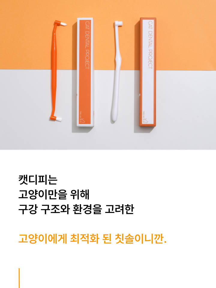 [NEW신상][무료배송] 캣디피 초극세사모 덴탈 칫솔ver2 35번째