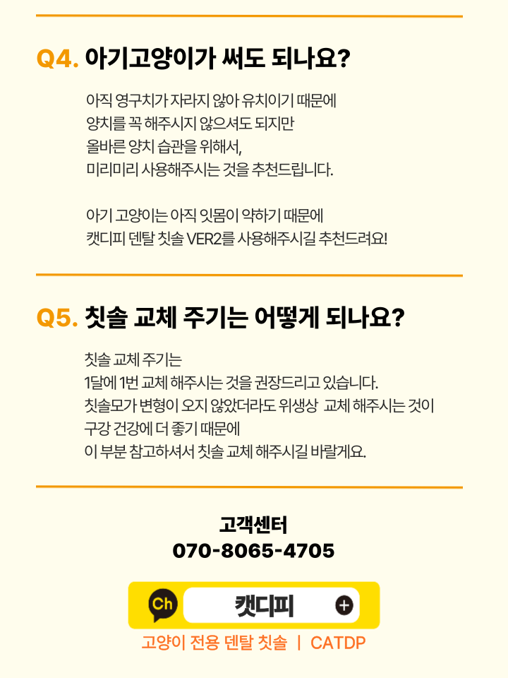 [NEW신상][무료배송] 캣디피 초극세사모 덴탈 칫솔ver2 63번째