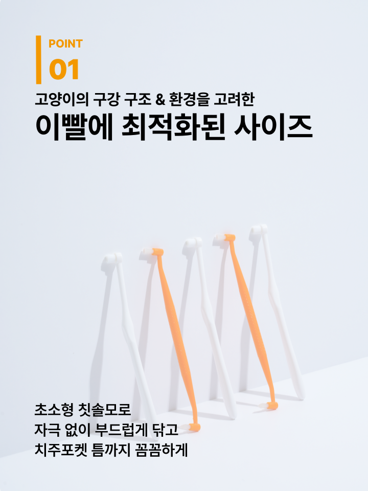 [NEW신상][무료배송] 캣디피 초극세사모 덴탈 칫솔ver2 30번째