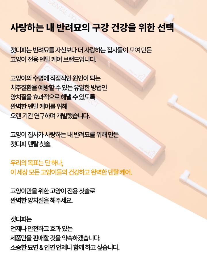 [NEW신상][무료배송] 캣디피 초극세사모 덴탈 칫솔ver2 11번째