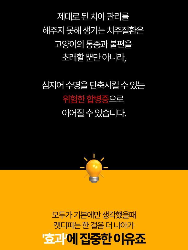 [NEW신상][무료배송] 캣디피 초극세사모 덴탈 칫솔ver2 27번째