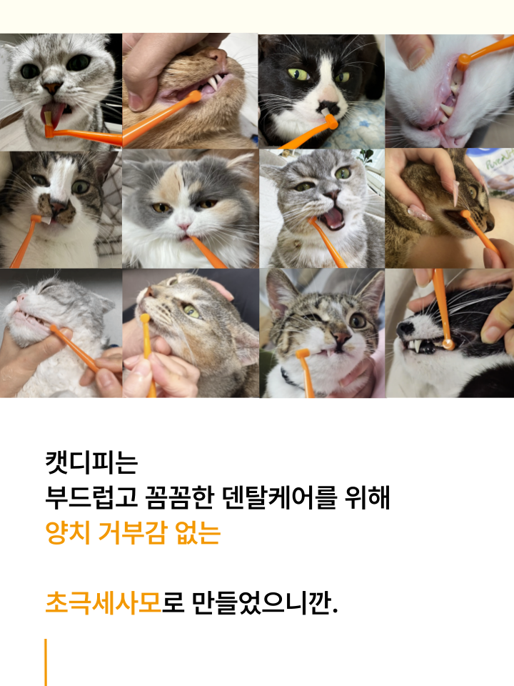 [NEW신상][무료배송] 캣디피 초극세사모 덴탈 칫솔ver2 45번째
