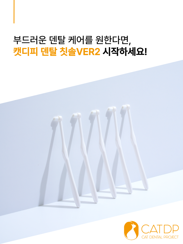 [NEW신상][무료배송] 캣디피 초극세사모 덴탈 칫솔ver2 57번째