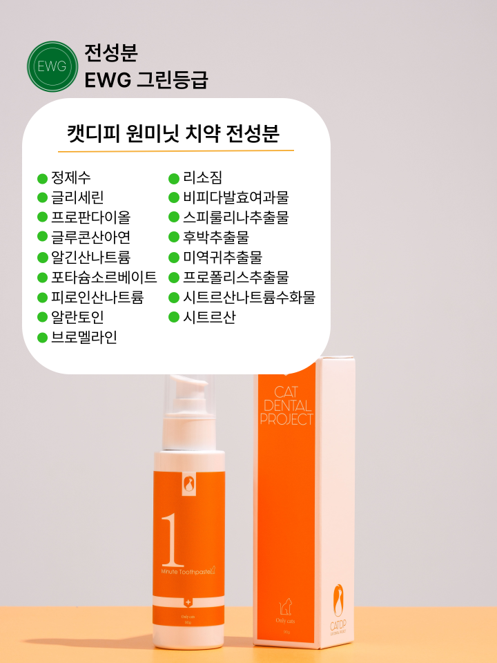 [NEW신상][무료배송] 캣디피 초극세사모 덴탈 칫솔ver2 53번째