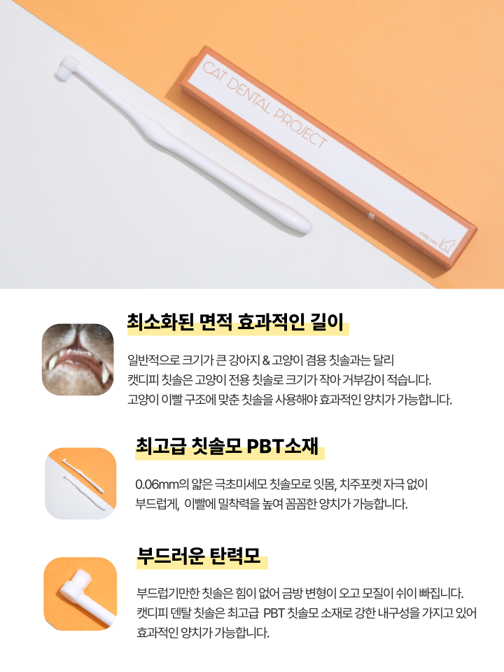 [NEW신상][무료배송] 캣디피 초극세사모 덴탈 칫솔ver2 23번째
