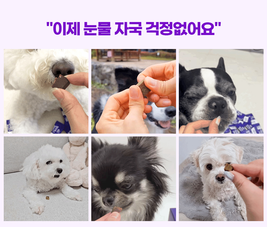 [NEW신상][무료배송] SBS TV 동물농장 수의사 벨라맥스 트릿 2종 세트 관절+눈 영양제 33번째