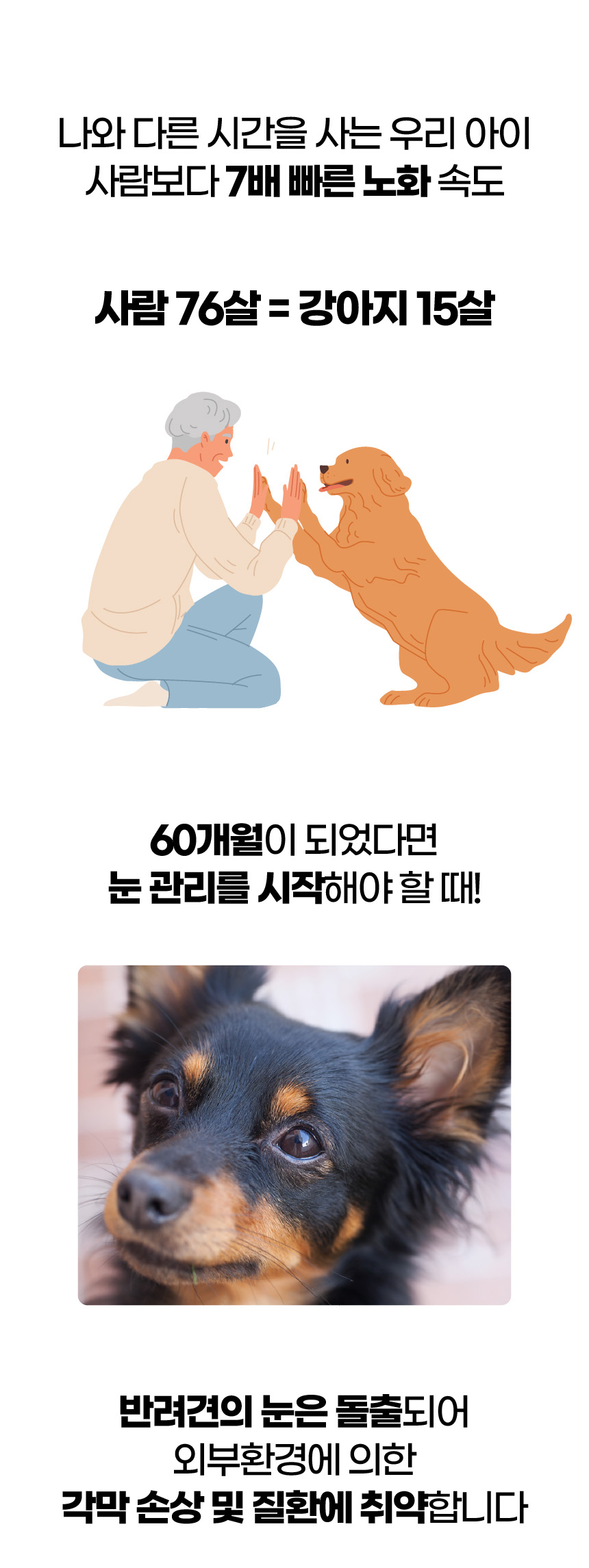[브랜드전][무료배송] SBS TV 동물농장 수의사 벨라맥스 트릿 2종 세트 관절+눈 영양제 35번째
