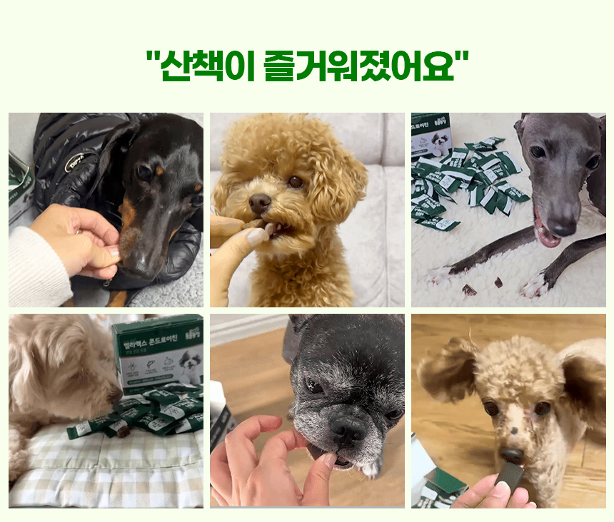 [NEW신상][무료배송] SBS TV 동물농장 수의사 벨라맥스 트릿 2종 세트 관절+눈 영양제 8번째