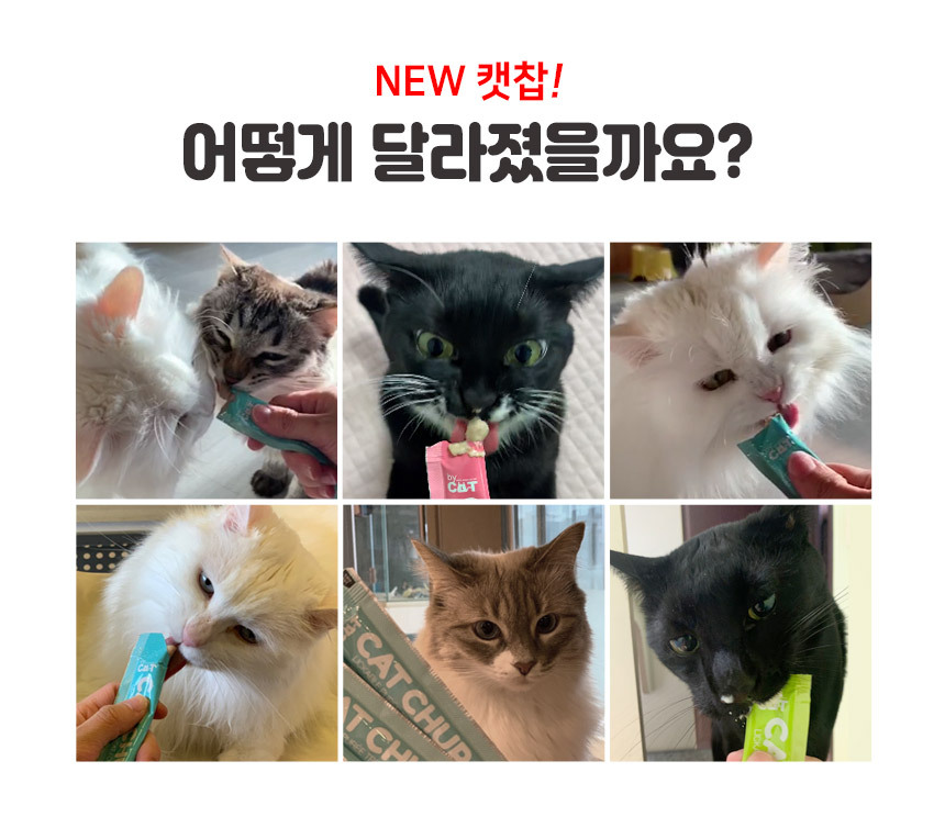 [NEW신상][무료배송] 베이펫 캣찹 참치&유산균 츄르 14*10p 5번째