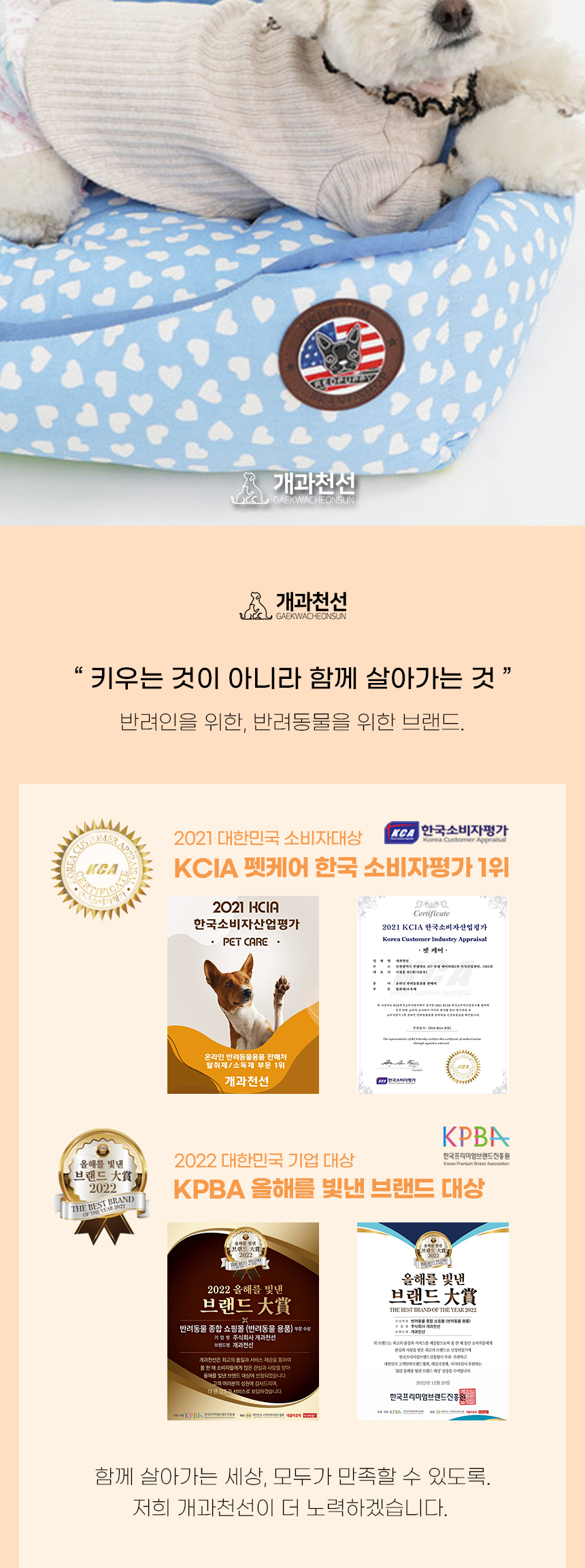 [NEW신상][무료배송] 개과천선 에밀리 방석 (블루/브라운) 3번째