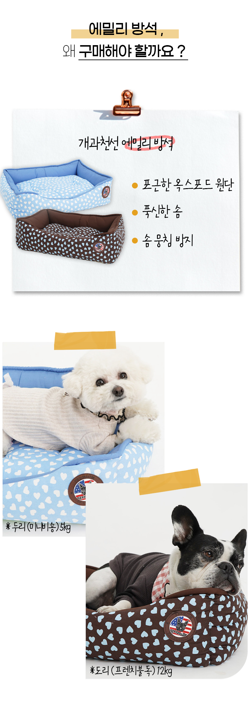 [NEW신상][무료배송] 개과천선 에밀리 방석 (블루/브라운) 6번째