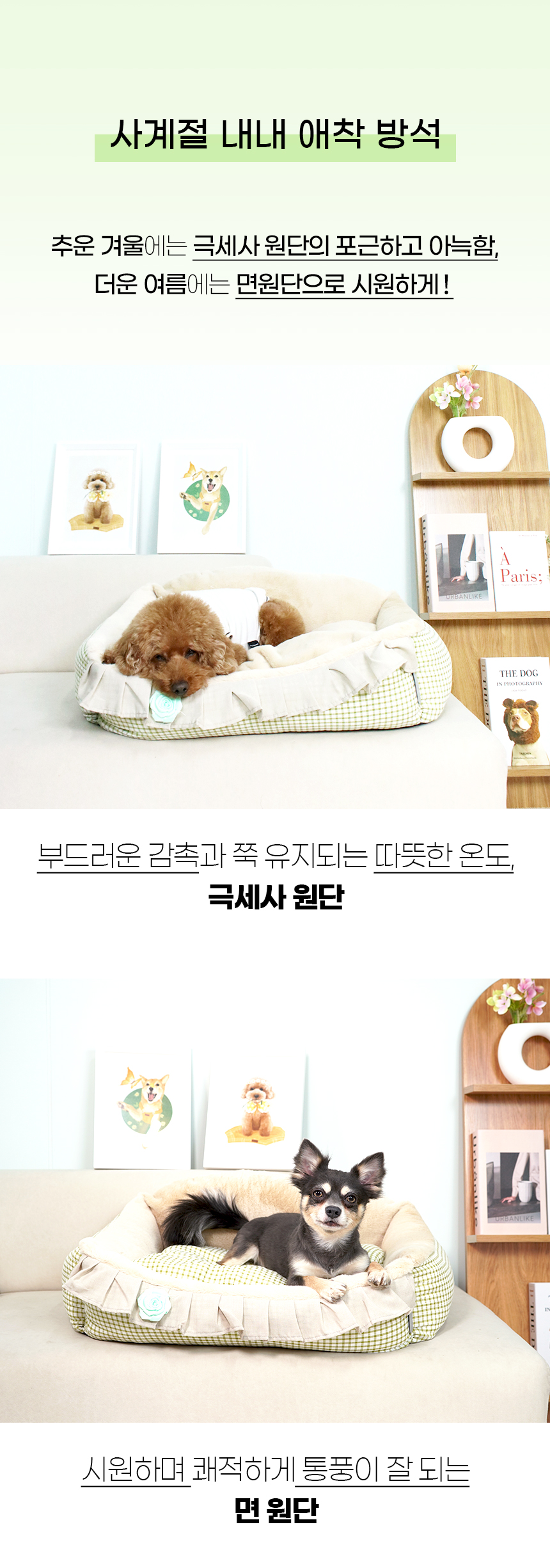 [NEW신상][무료배송] 개과천선 C리알 쿠션 (그레이/베이지) 7번째