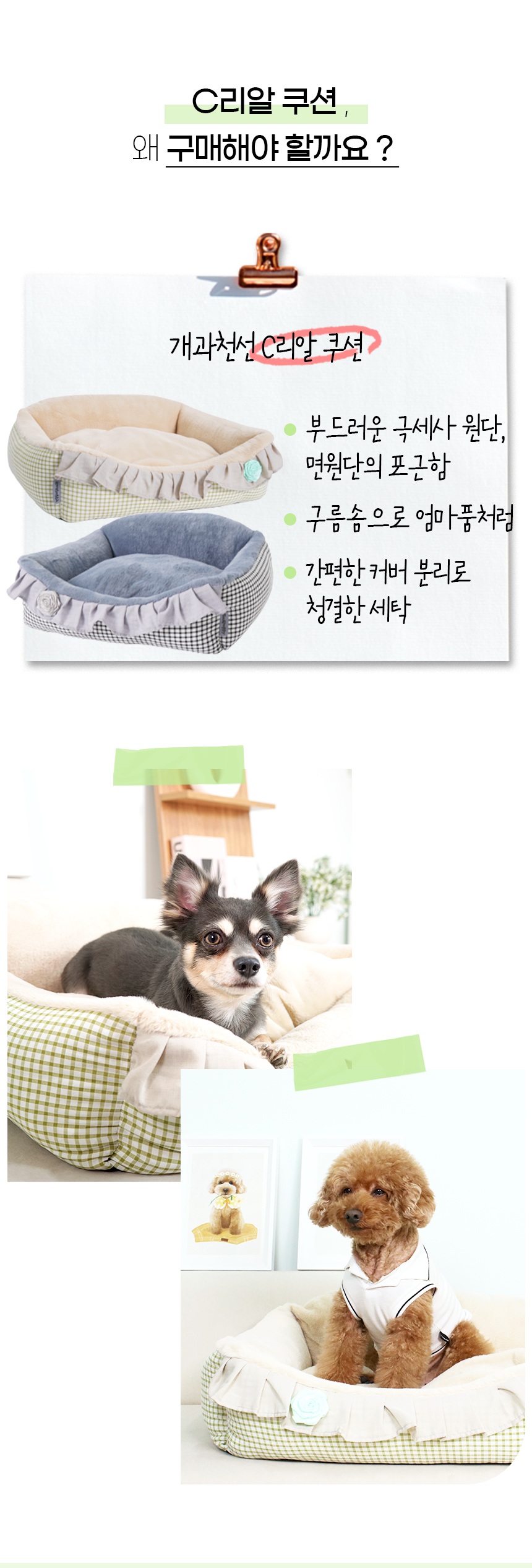 [NEW신상][무료배송] 개과천선 C리알 쿠션 (그레이/베이지) 6번째