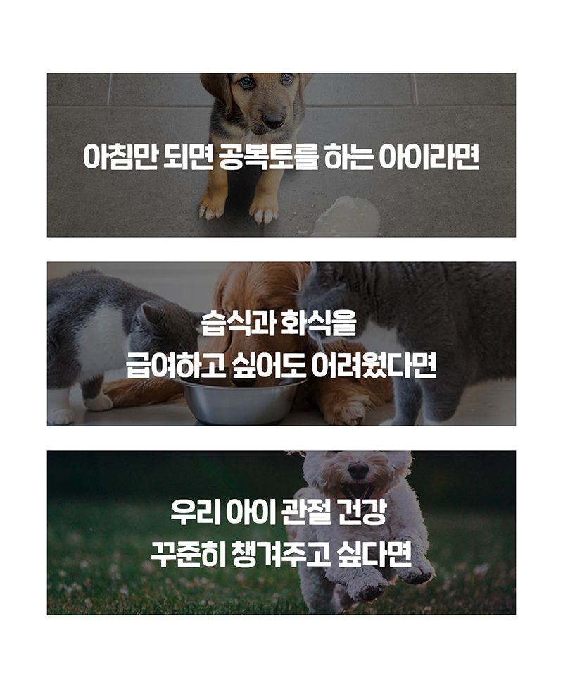 [브랜드전][2+1] 닥터뉴토 탄단지프로틴 케어 펫밀크 오리지널 180ml 16번째