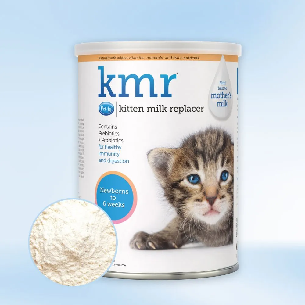 펫에그 KMR 캣 분유 파우더 340g