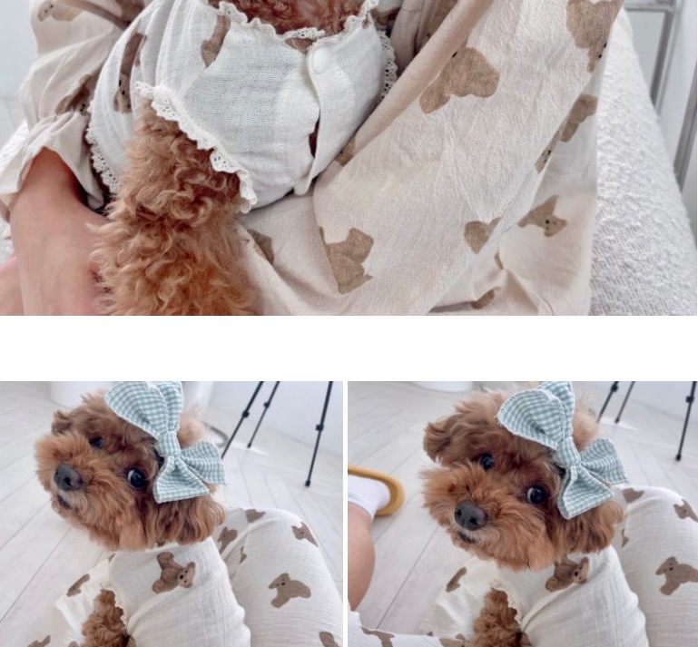 [무료배송] 찰리롤리 카카 곰 강아지 잠옷 레이스 커플룩 S-2XL 7번째