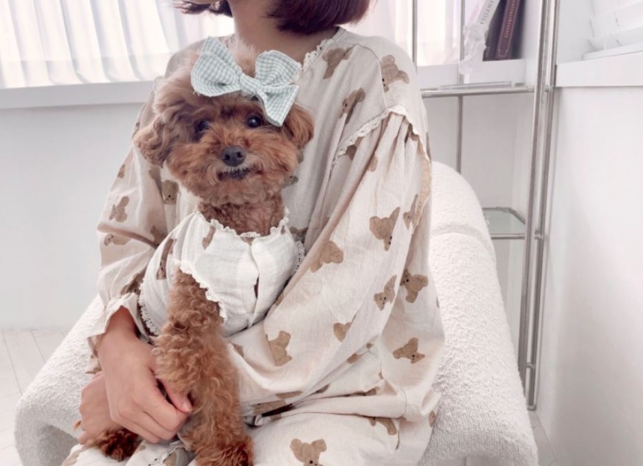 [무료배송] 찰리롤리 카카 곰 강아지 잠옷 레이스 커플룩 S-2XL 2번째