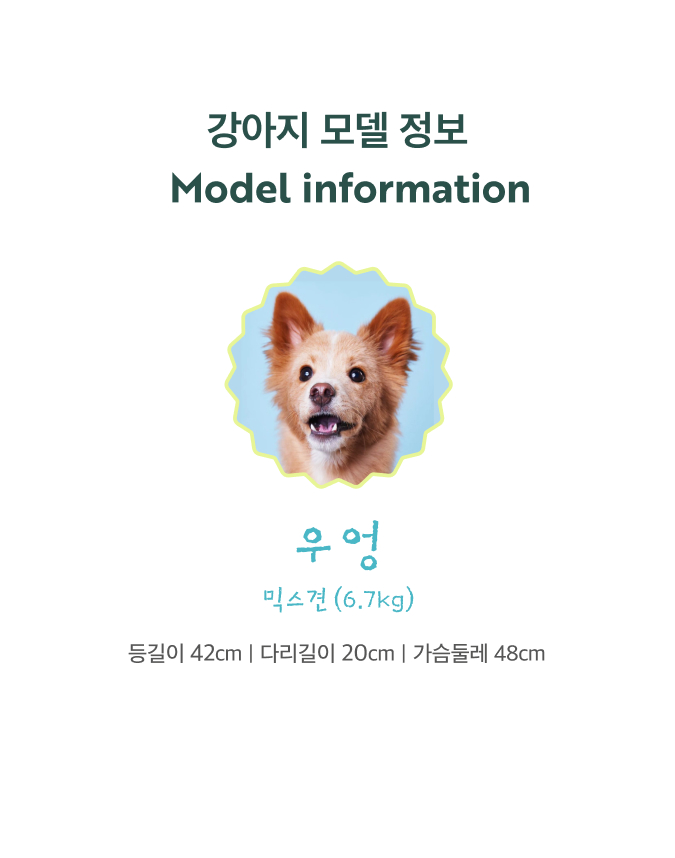 [무료배송] 멍뭉스 컴포트 에어쿨링 방석 11번째