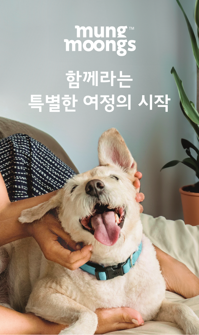 [무료배송] 멍뭉스 컴포트 에어쿨링 방석 1번째