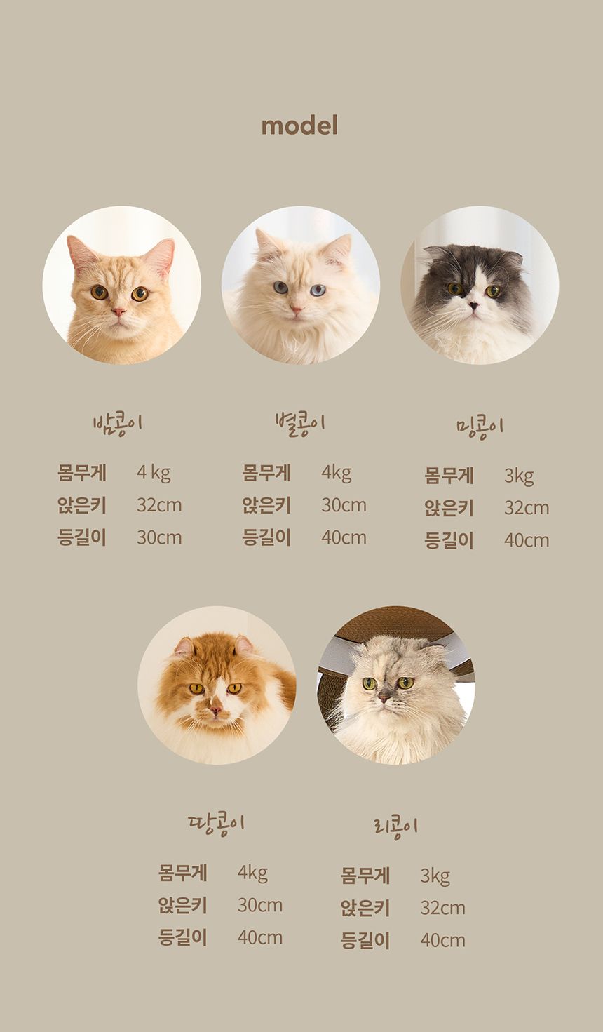 [NEW신상]두잇 티라미수보드 3단 스크래쳐 18번째