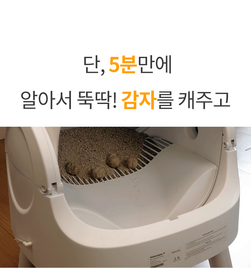 [NEW신상][무료배송] 보니렌 캣 에러프리 자동화장실 5번째