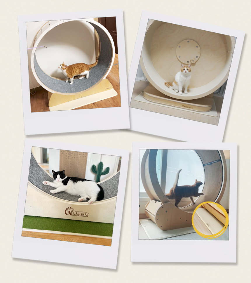 [NEW신상][무료배송] 따스넉 노음 캣휠 폼 패드  8번째