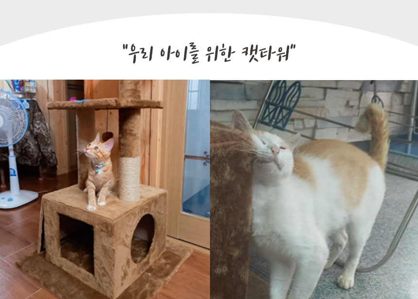 [NEW신상][무료배송] 펫토리아 고양이 GP 원목 플랫폼 숨숨집 중형 캣타워 브라운 111cm 17번째