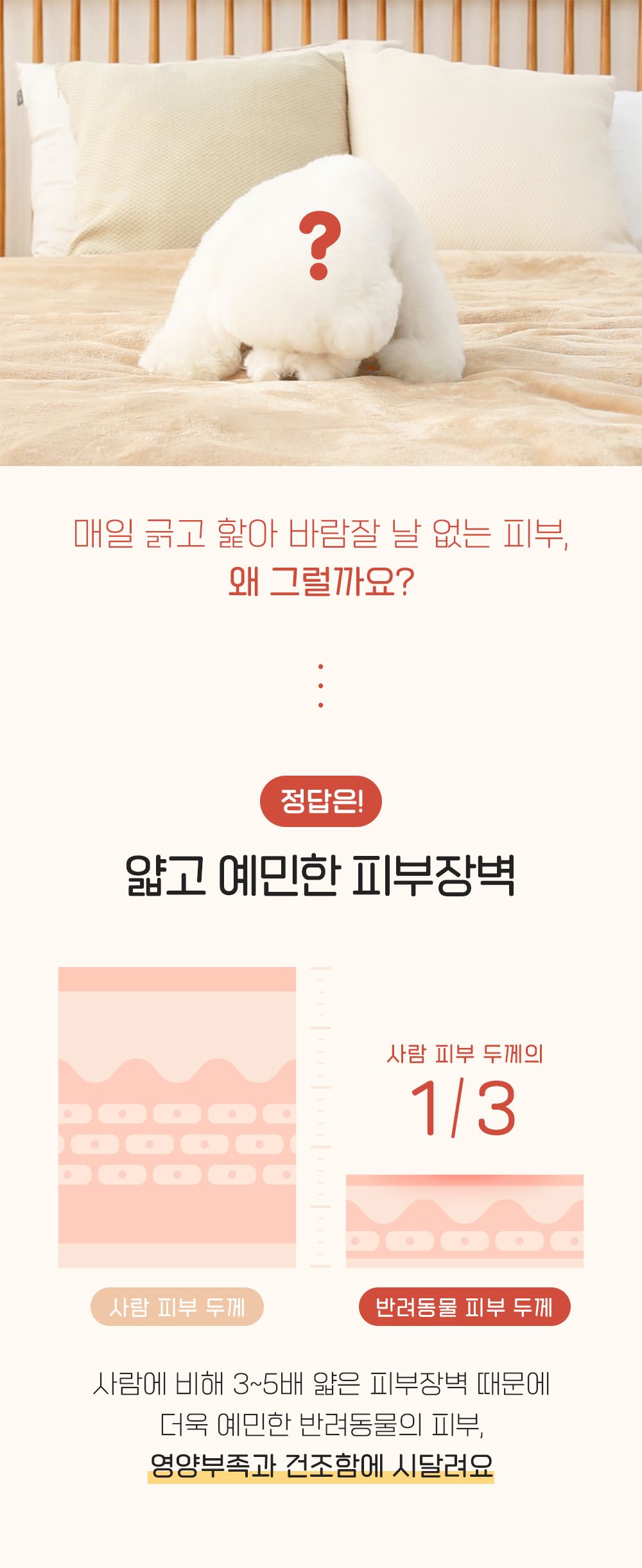 [공동구매][무료배송] 정글몬스터 뽀독뽀독 풋클렌저&세라마이독 연고 세트 11번째