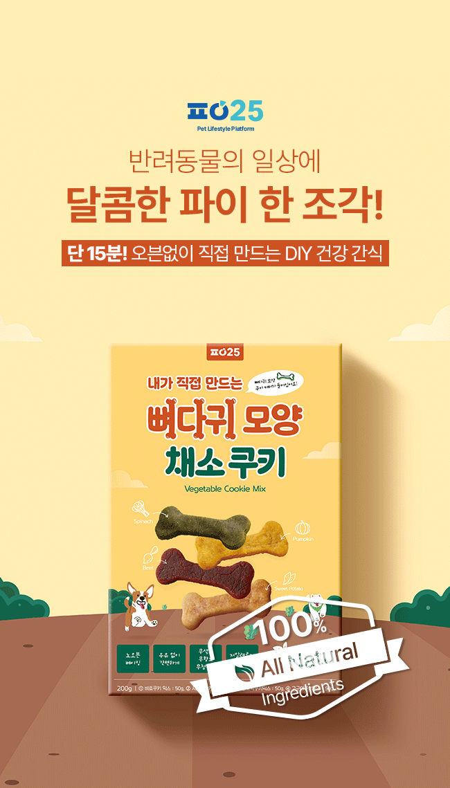 [NEW신상][무료배송] 파이25 DIY 뼈다귀 모양 채소 쿠키 1번째