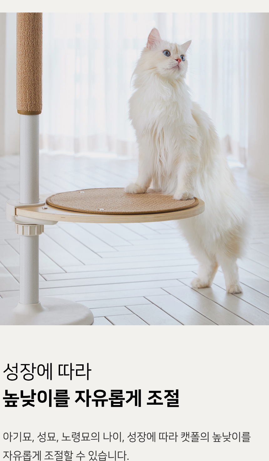 [NEW신상][무료배송] 내핑하우스 캣폴 스텝 원형 스크래쳐 카페트 4번째