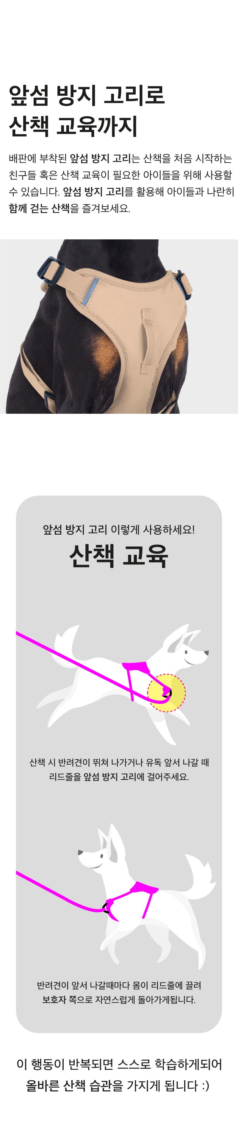 [NEW신상][무료배송] 코코넛즈 노터치 라이트 하네스 - 네이비 18번째