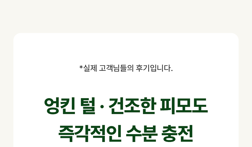 [무료배송] 리꼬르소 독 실키 스킨&코트 미스트 200ml 6번째