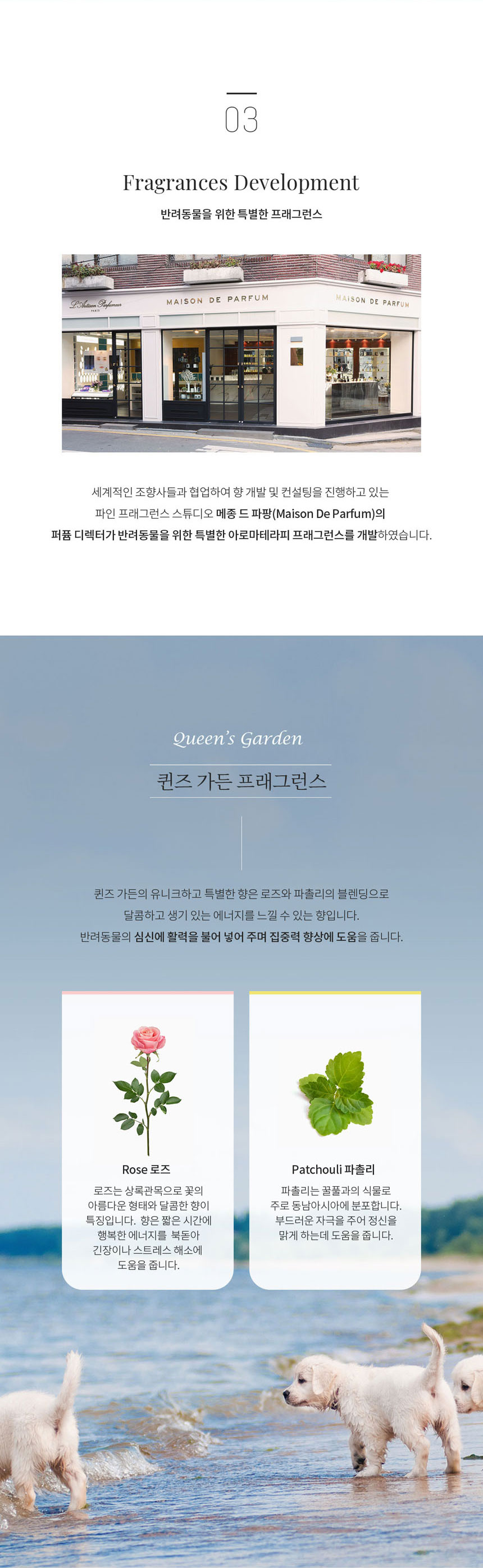 [무료배송] 플로리스클린 펫샴푸 퀸즈가든 5번째