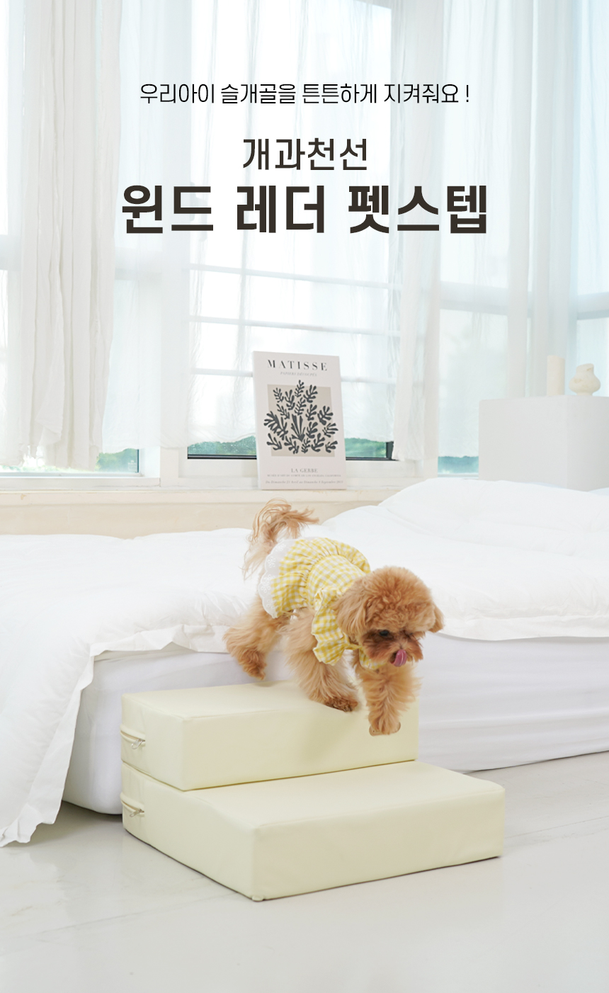 [NEW신상][무료배송] 개과천선 독 윈드레더 접이식 펫스텝 계단 (소프트 아이보리/소프트 그레이) 2번째