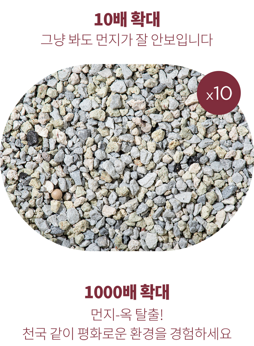 [무료배송] 에이스 벤토나이트 고양이 모래 4종 12번째