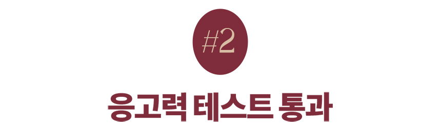 [무료배송] 에이스 벤토나이트 고양이 모래 4종 6번째