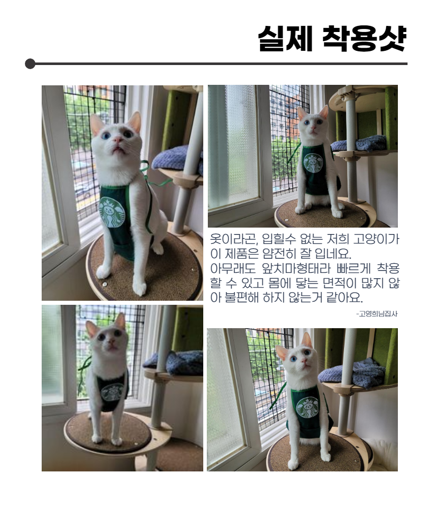 [무료배송] 냥슬아치 멍타벅스 앞치마 티셔츠 S-L 9번째