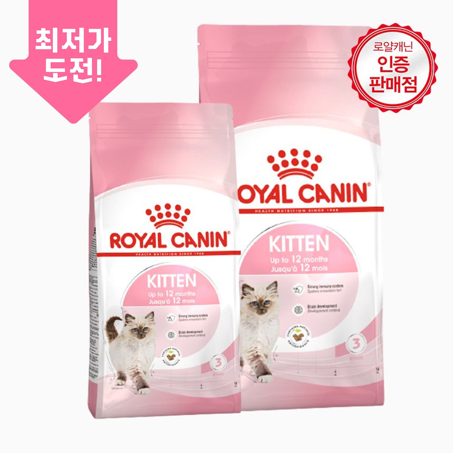 로얄캐닌 캣 키튼 면역기능 강화 모음 0번