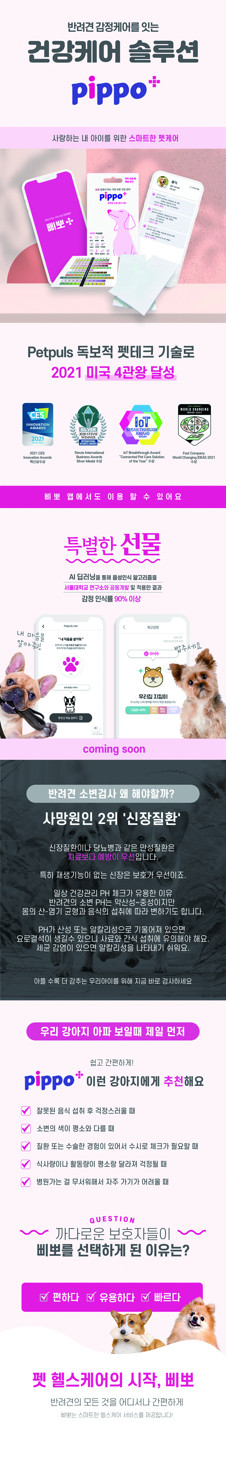 [무료배송] 펫펄스랩 독 삐뽀(pippo) 소변검사 키트(2회분) 1번째