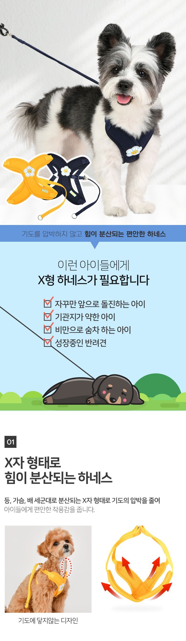[무료배송] 올치 데이지X하네스 옐로우/네이비 S-L 1번째