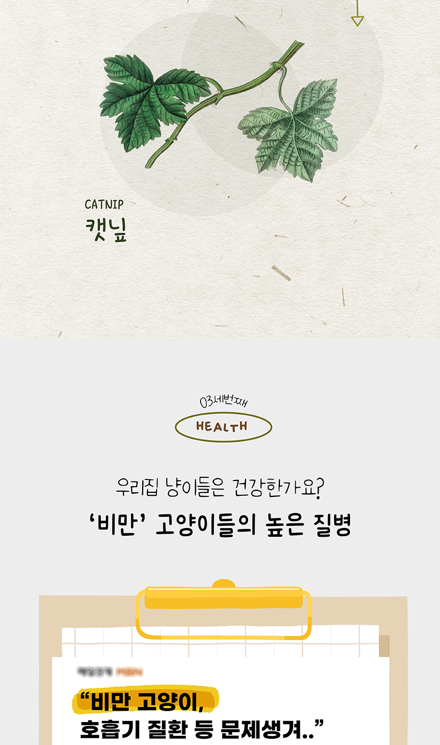 [무료배송] 애구애구 국산 마따따비 마법의 스프레이 60ml 4번째