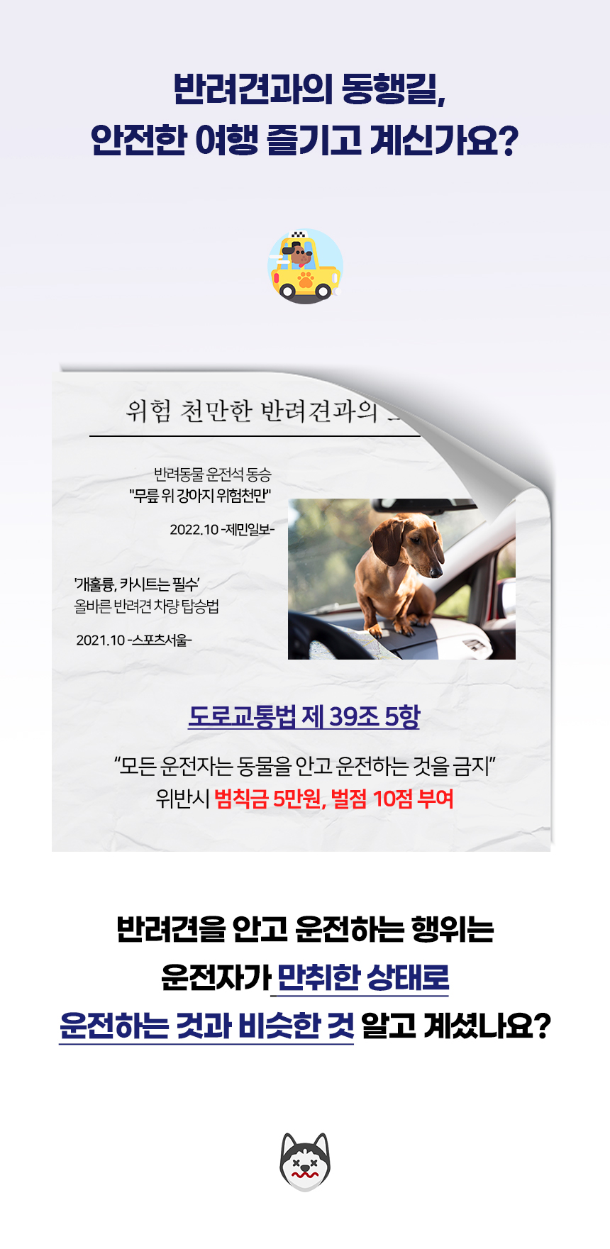 [NEW신상][무료배송] 개과천선 독 글리터 카시트 (그레이/베이지) 2번째