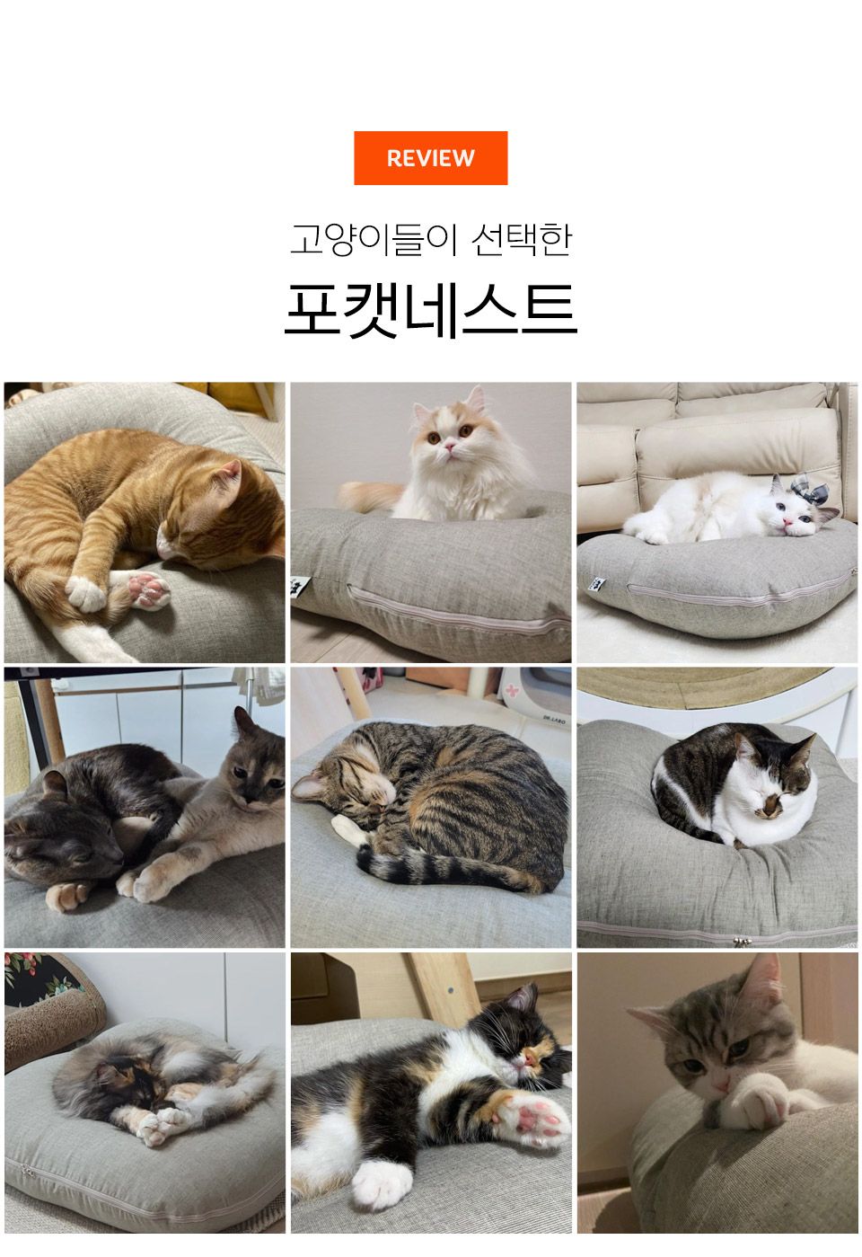 [창고대방출] 닥터펠리스 포캣네스트 방석 브라운 36번째